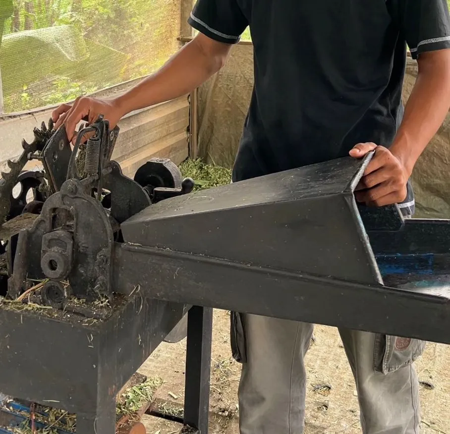 Manajemen Peternakan