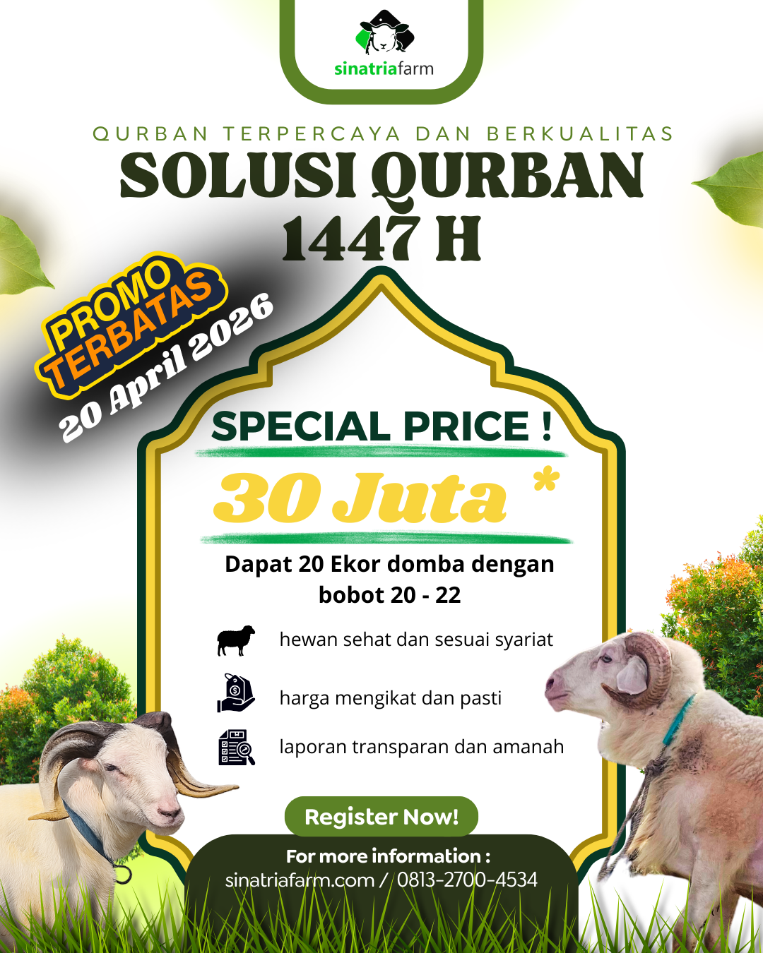 Solusi Qurban Special Price